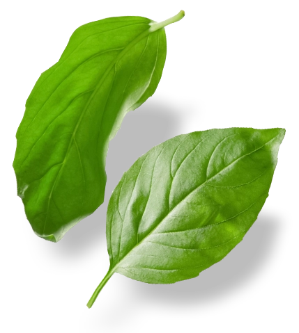 CitoPizza_Photo2_429x479_06Nov2025